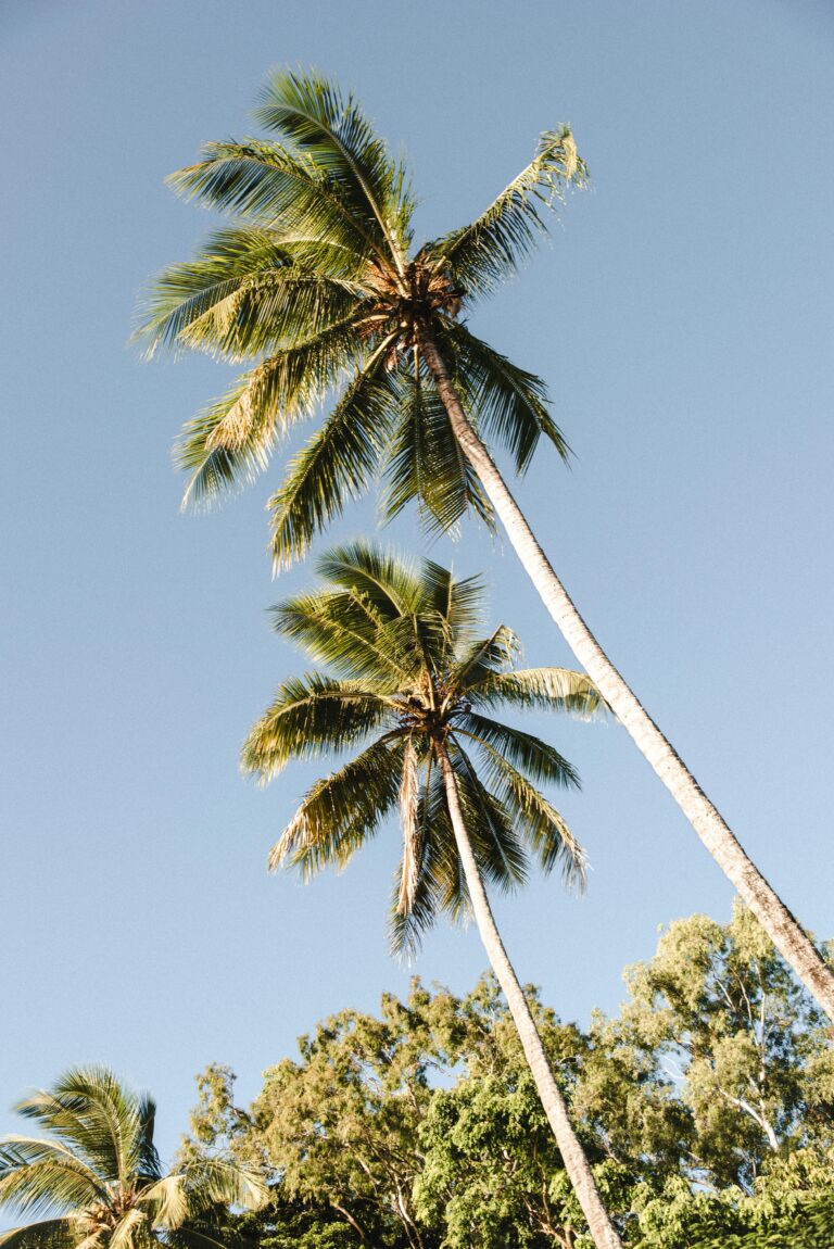 pexels wildshots 23503919